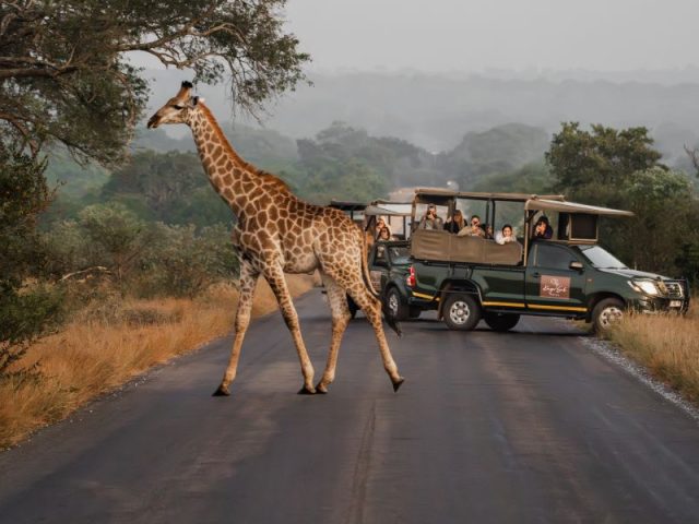Kruger Gate Hotel Guided Safari_kids (1)